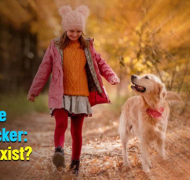 injectable gps tracker